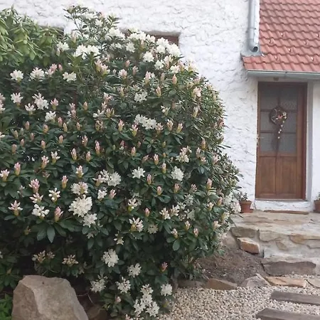 Holiday home Na Placku