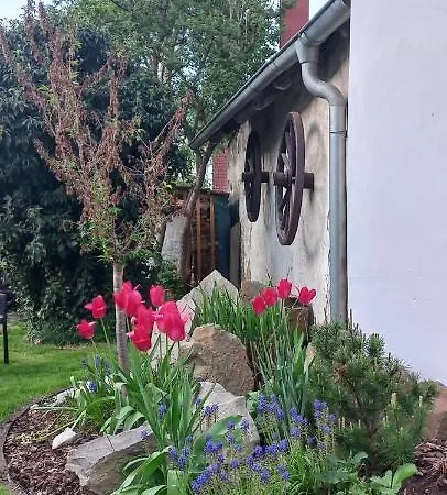 Na Placku Lisov (South Bohemian)
